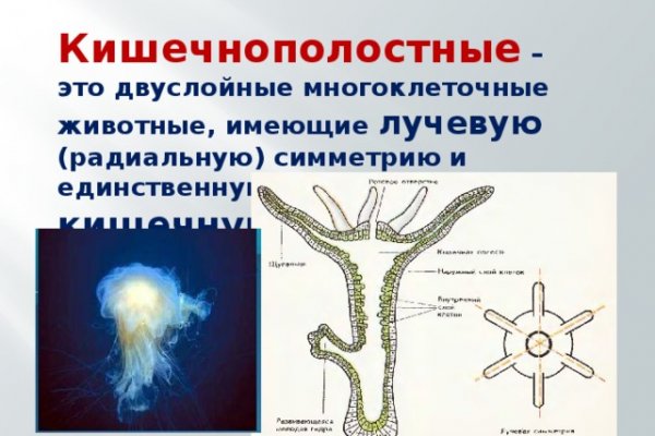 Kraken даркнет маркет