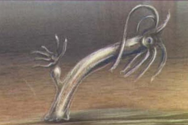Кракен даркнет аккаунт