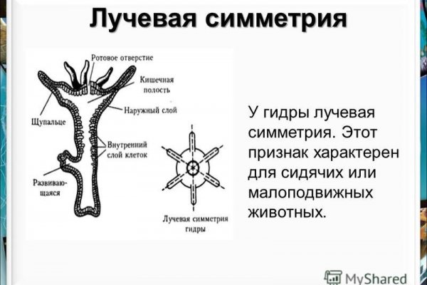 Как зарегаться на кракене
